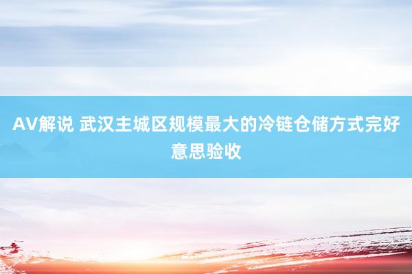 AV解说 武汉主城区规模最大的冷链仓储方式完好意思验收