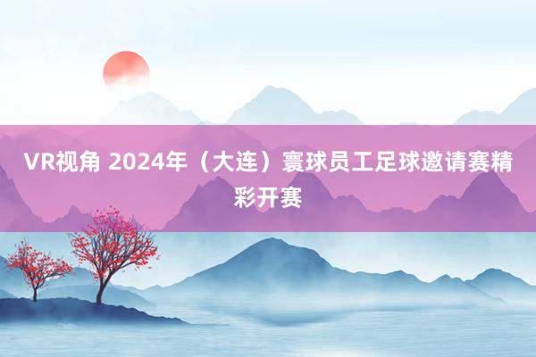 VR视角 2024年（大连）寰球员工足球邀请赛精彩开赛