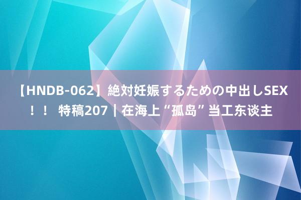 【HNDB-062】絶対妊娠するための中出しSEX！！ 特稿207｜在海上“孤岛”当工东谈主