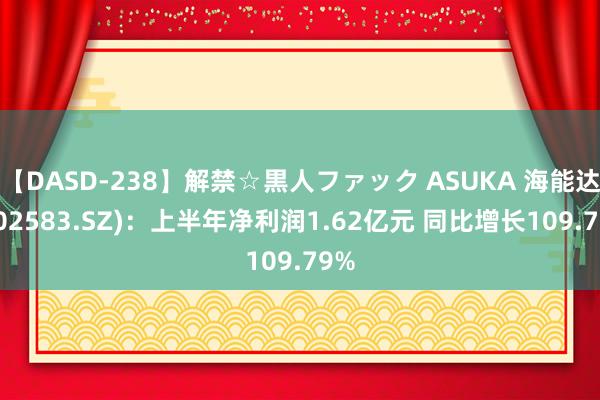 【DASD-238】解禁☆黒人ファック ASUKA 海能达(002583.SZ)：上半年净利润1.62亿元 同比增长109.79%