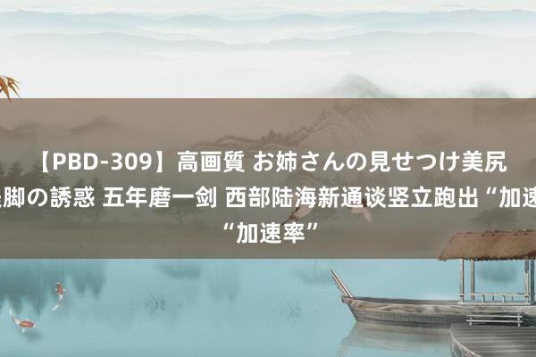 【PBD-309】高画質 お姉さんの見せつけ美尻＆美脚の誘惑 五年磨一剑 西部陆海新通谈竖立跑出“加速率”