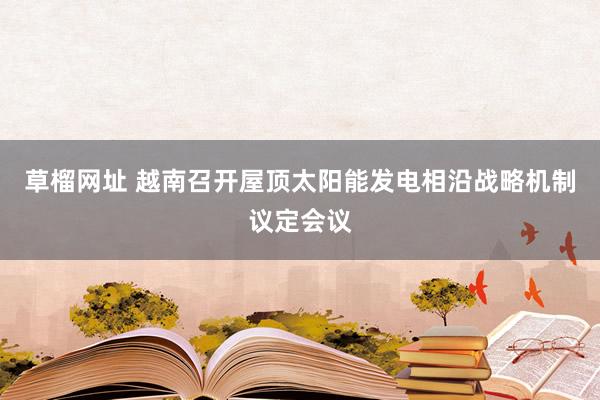 草榴网址 越南召开屋顶太阳能发电相沿战略机制议定会议