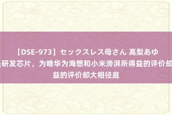 【DSE-973】セックスレス母さん 高梨あゆみ 相同是研发芯片，为啥华为海想和小米滂湃所得益的评价却大相径庭