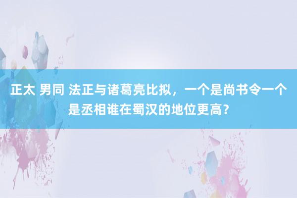 正太 男同 法正与诸葛亮比拟，一个是尚书令一个是丞相谁在蜀汉的地位更高？