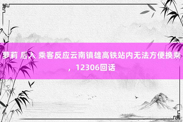 萝莉 后入 乘客反应云南镇雄高铁站内无法方便换乘，12306回话