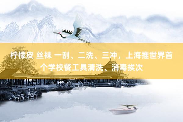 柠檬皮 丝袜 一刮、二洗、三冲，上海推世界首个学校餐工具清洗、消毒挨次