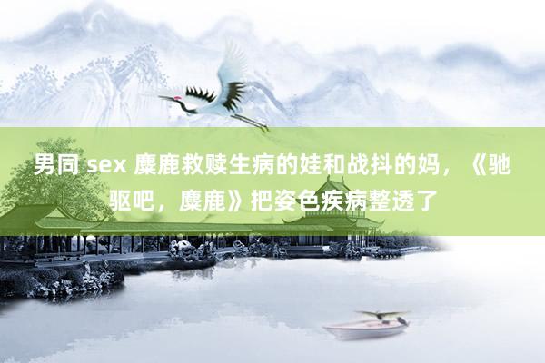 男同 sex 麋鹿救赎生病的娃和战抖的妈，《驰驱吧，麋鹿》把姿色疾病整透了