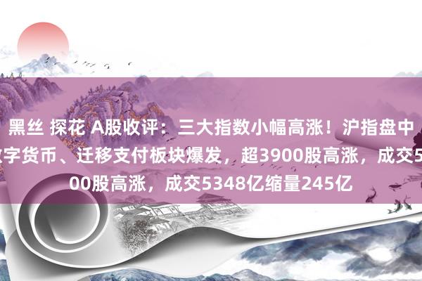 黑丝 探花 A股收评：三大指数小幅高涨！沪指盘中续刷调养新低，数字货币、迁移支付板块爆发，超3900股高涨，成交5348亿缩量245亿