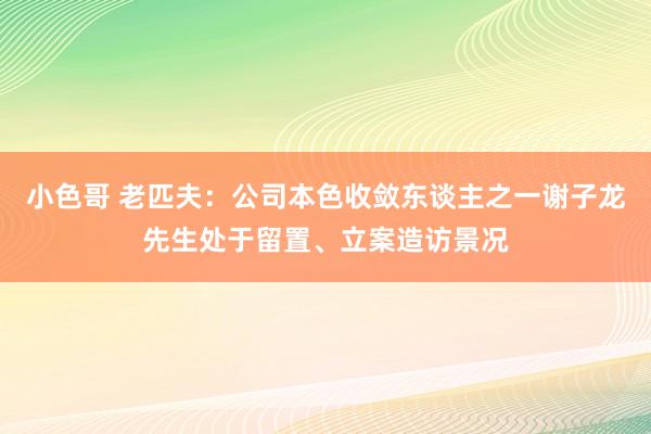 小色哥 老匹夫：公司本色收敛东谈主之一谢子龙先生处于留置、立案造访景况