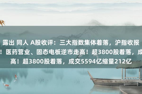 露出 同人 A股收评：三大指数集体着落，沪指收报2784点续创阶段新低！医药营业、固态电板逆市走高！超3800股着落，成交5594亿缩量212亿