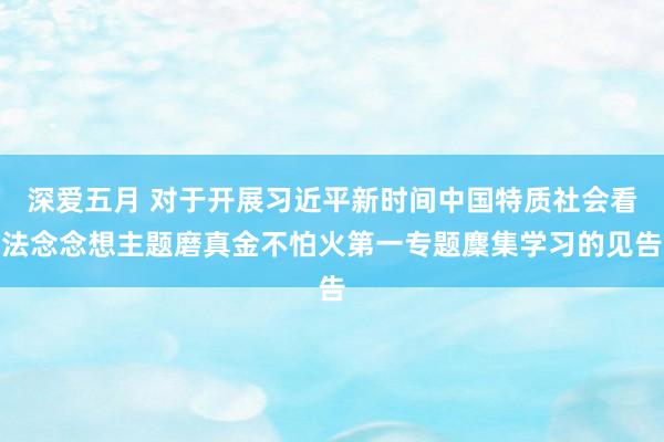 深爱五月 对于开展习近平新时间中国特质社会看法念念想主题磨真金不怕火第一专题麇集学习的见告