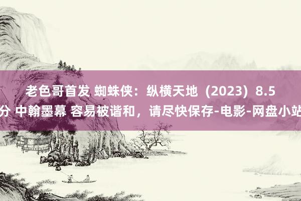 老色哥首发 蜘蛛侠：纵横天地  (2023)  8.5分 中翰墨幕 容易被谐和，请尽快保存-电影-网盘小站