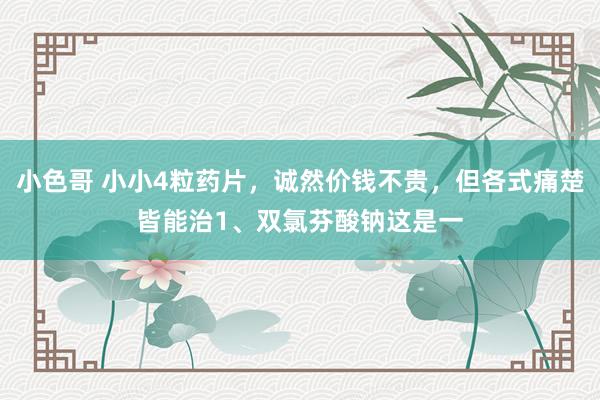 小色哥 小小4粒药片，诚然价钱不贵，但各式痛楚皆能治1、双氯芬酸钠这是一